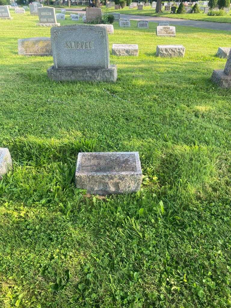 Charles F. Klippel's grave. Photo 2