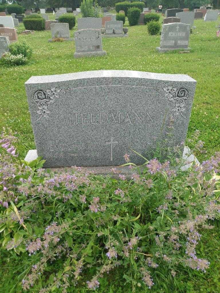 Evelyn D. Heldmann's grave. Photo 1