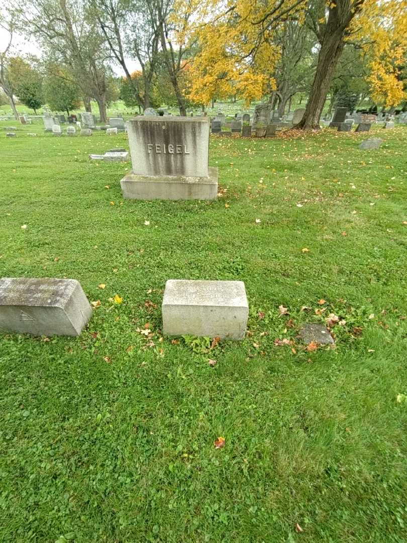 Ellen Farley Feigel's grave. Photo 1