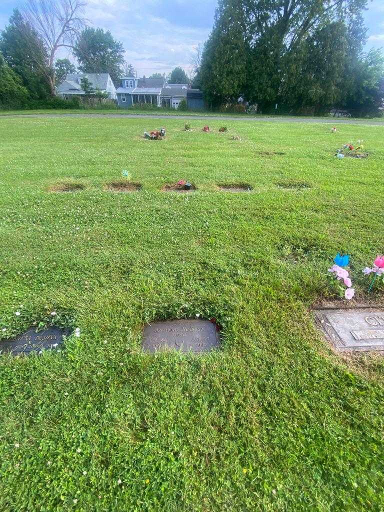 Anthony M. "Ton" Vespi's grave. Photo 2