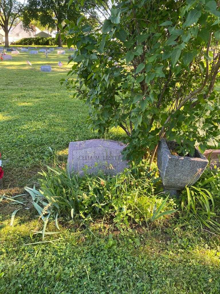 Celia M. Lester's grave. Photo 2