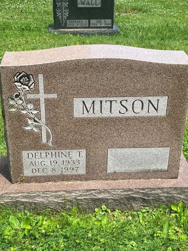 Delphine T. Mitson's grave. Photo 3