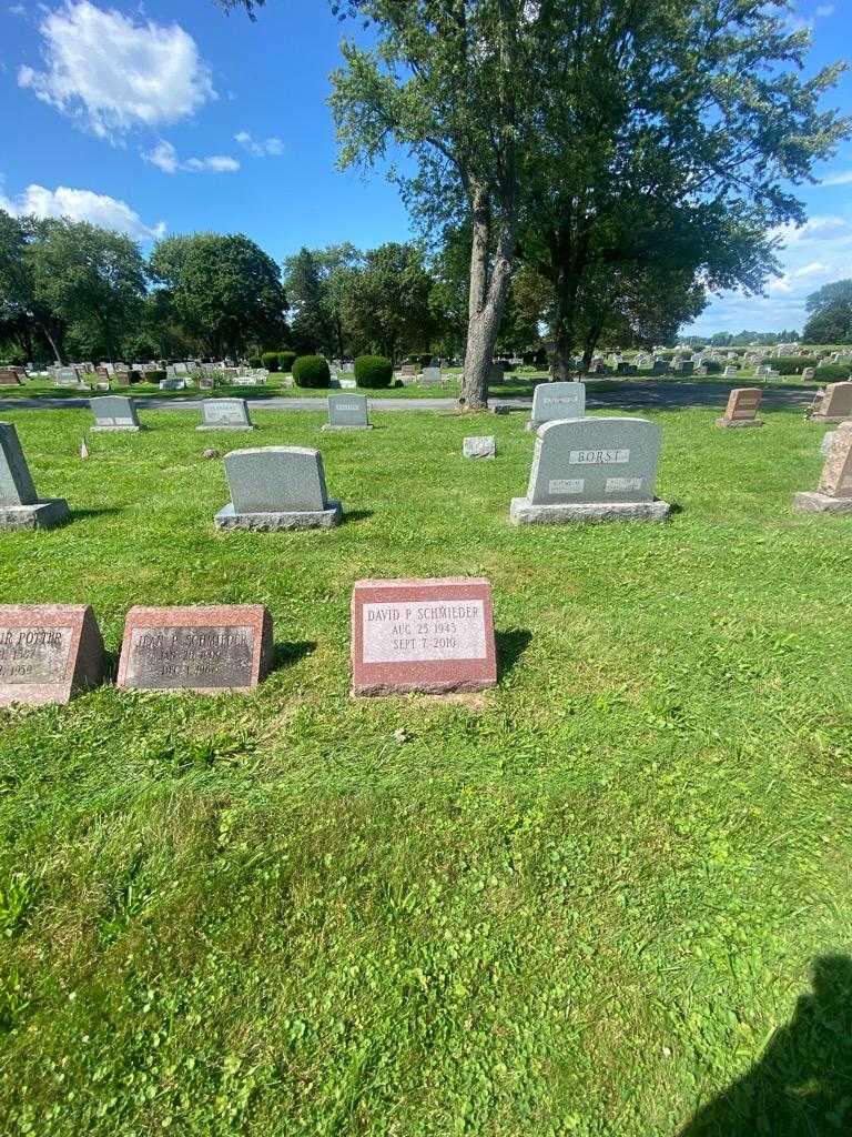 David P. Schmieder's grave. Photo 1