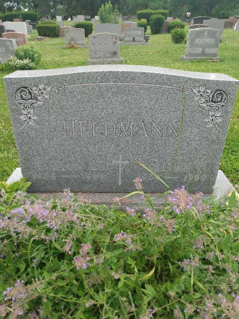 Evelyn D. Heldmann's grave. Photo 2