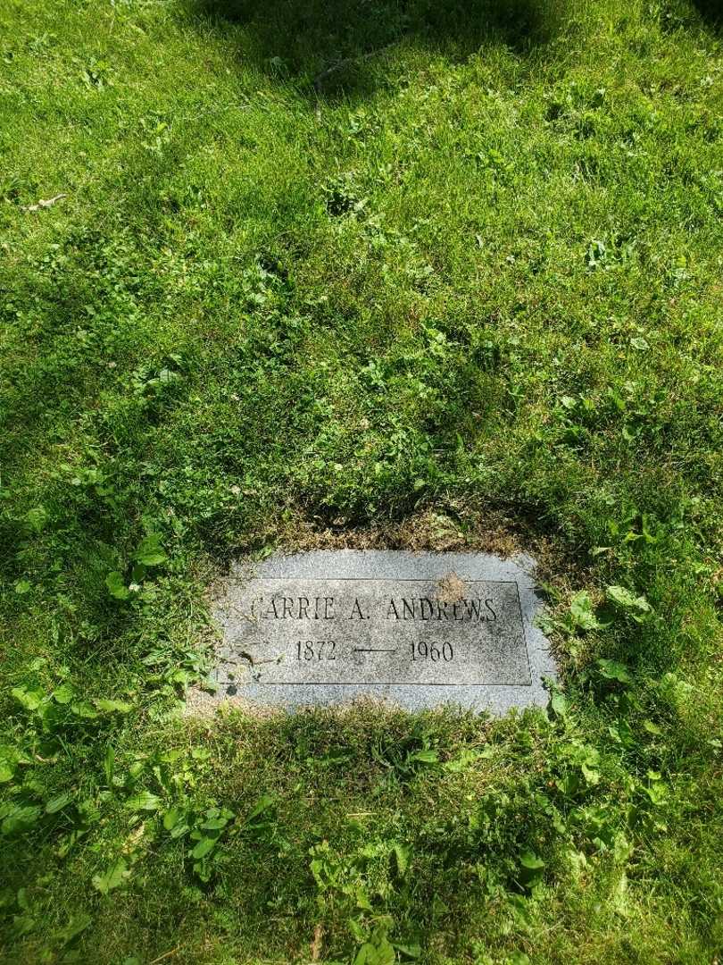 Carrie A. Andrews's grave. Photo 3