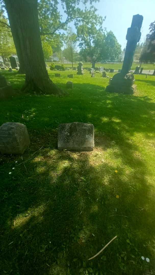 Alexander Elias Oberlander's grave. Photo 1