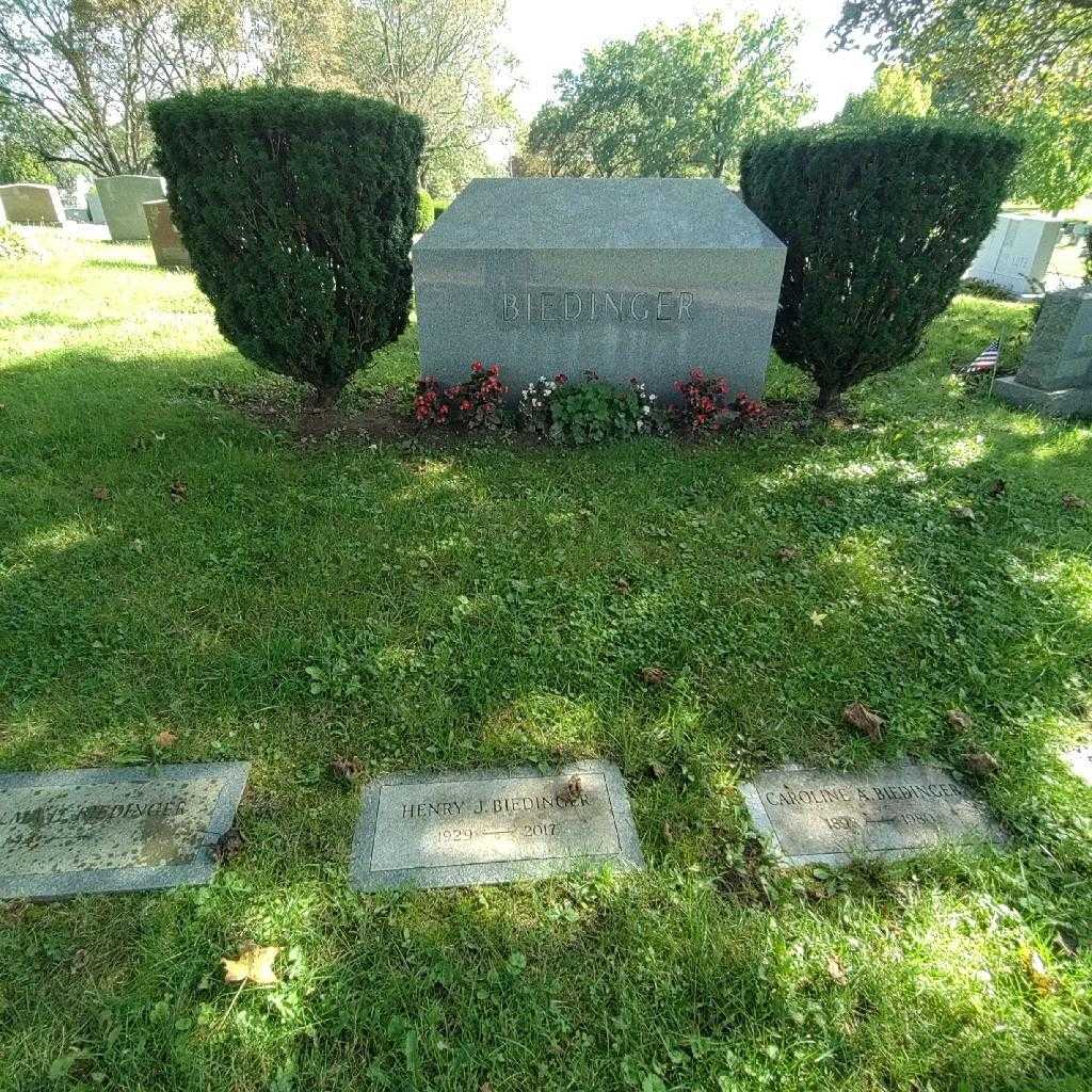 Henry J. Biedinger's grave. Photo 2
