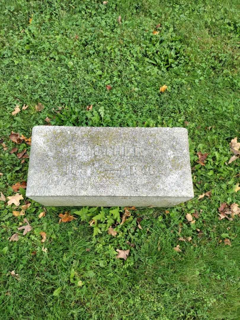 Ellen Farley Feigel's grave. Photo 2