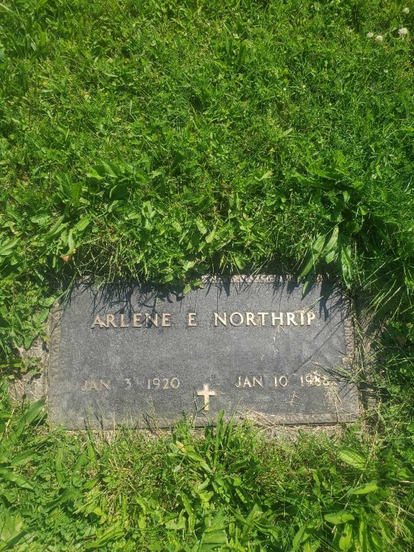 Arlene E. Northrip Young's grave. Photo 4