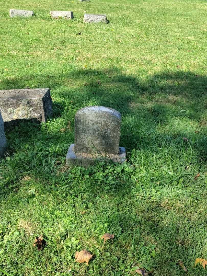 Gottlob Christian Schmid's grave. Photo 2