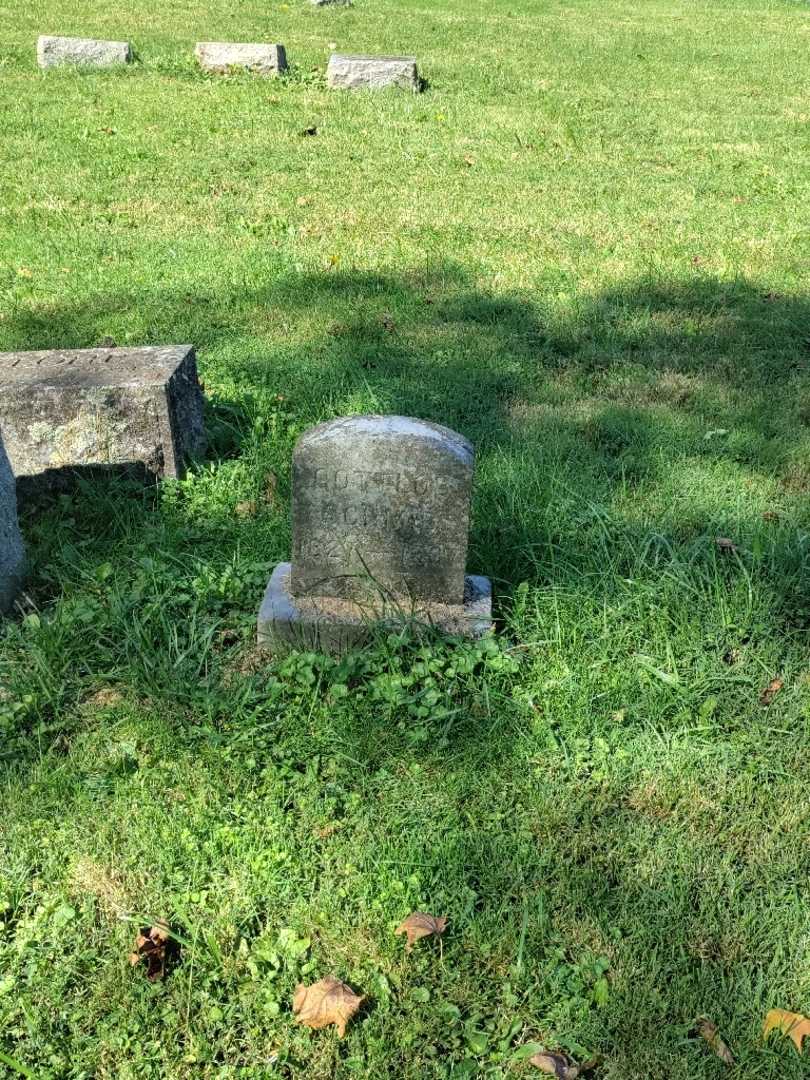 Gottlob Christian Schmid's grave. Photo 2