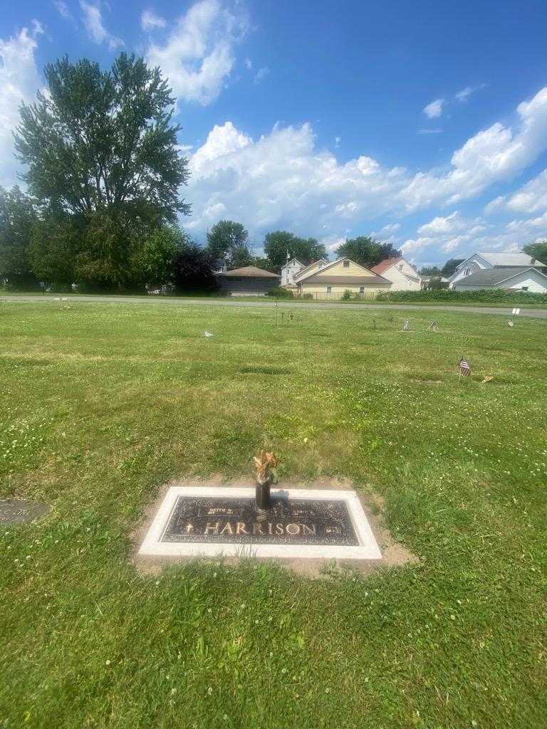 Rubin B. Harrison's grave. Photo 1