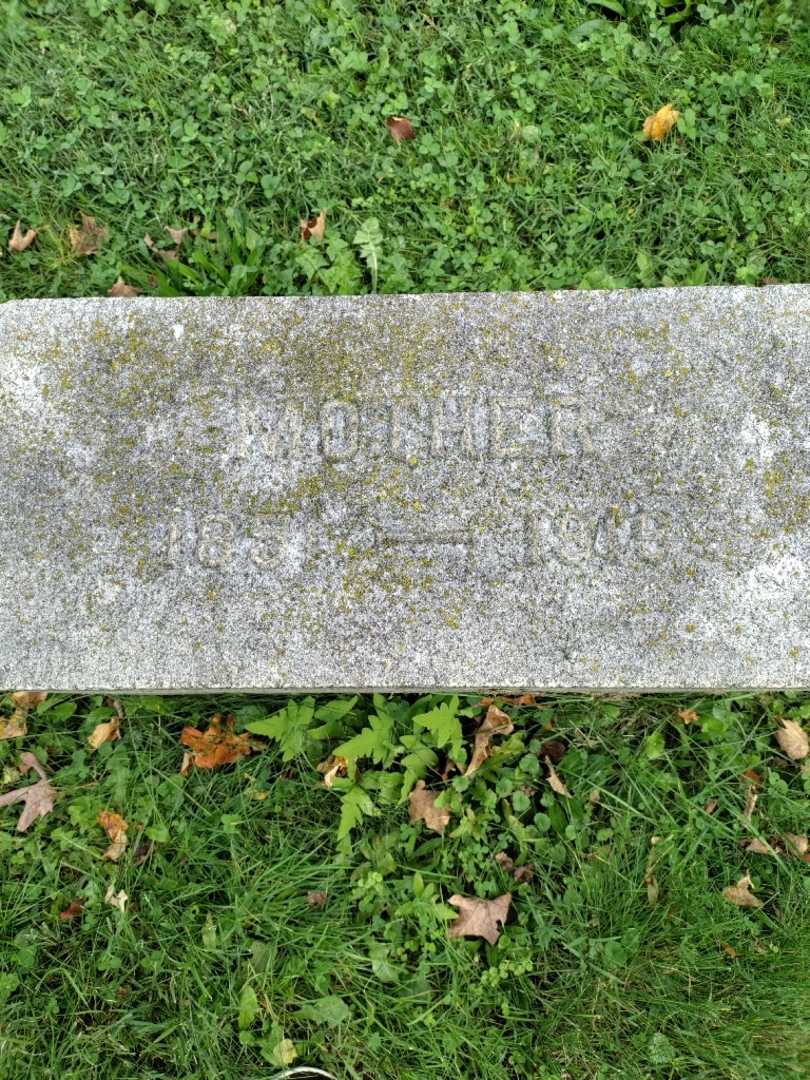 Ellen Farley Feigel's grave. Photo 3