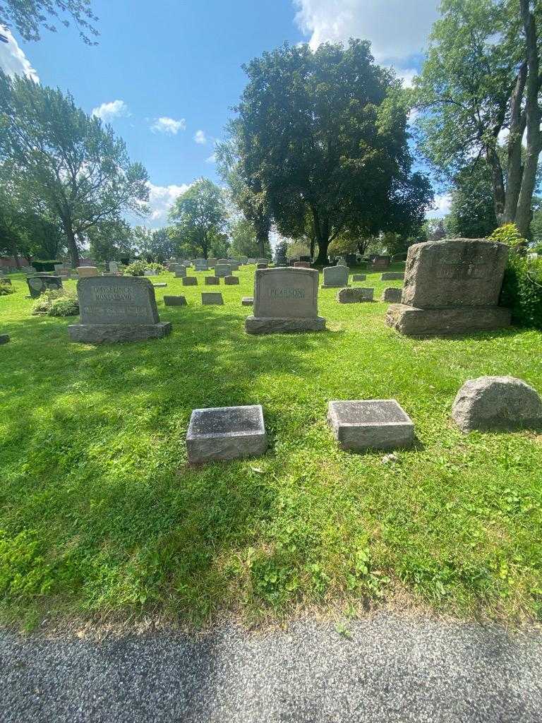 Robert William's grave. Photo 1
