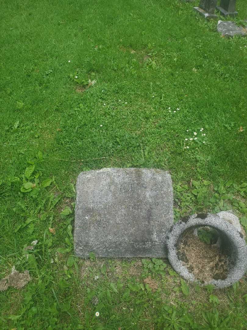 Minnie S. Thomasmeyer's grave. Photo 3