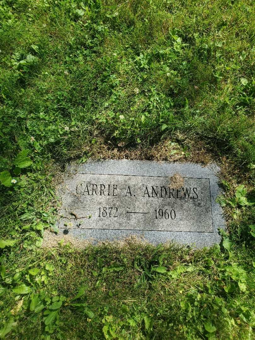 Carrie A. Andrews's grave. Photo 1