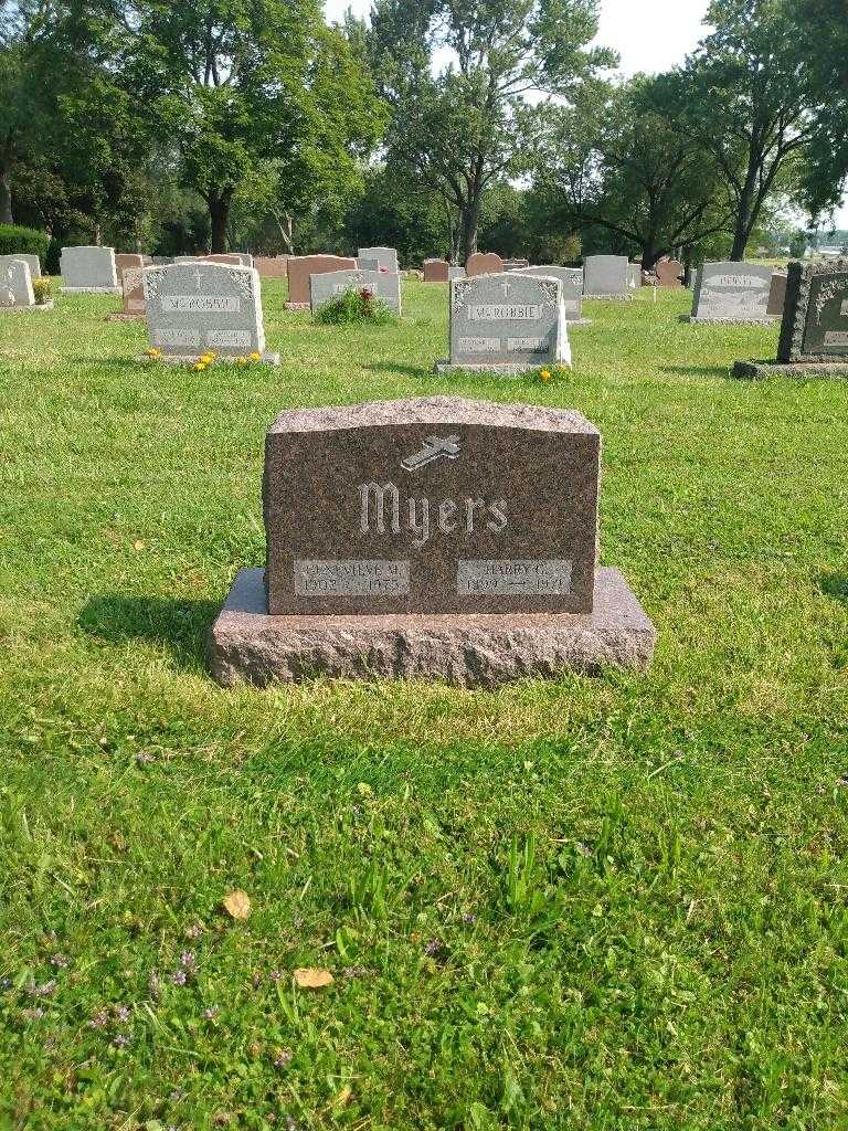 Harry G. Myers's grave. Photo 1