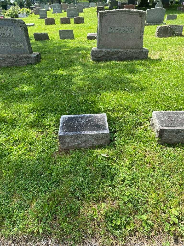 Robert William's grave. Photo 2