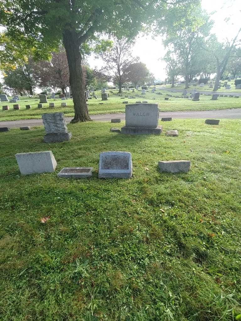 Gerald Stevenson's grave. Photo 1