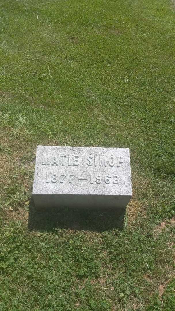 Matie Simon's grave. Photo 3