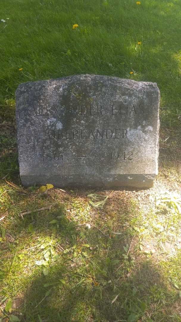 Alexander Elias Oberlander's grave. Photo 4