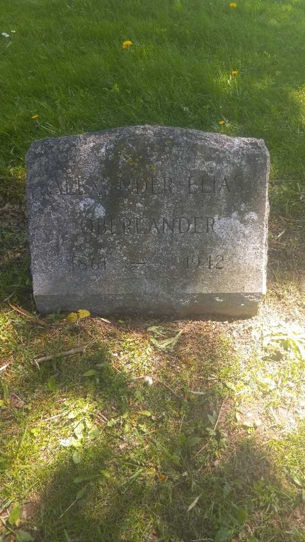 Alexander Elias Oberlander's grave. Photo 3