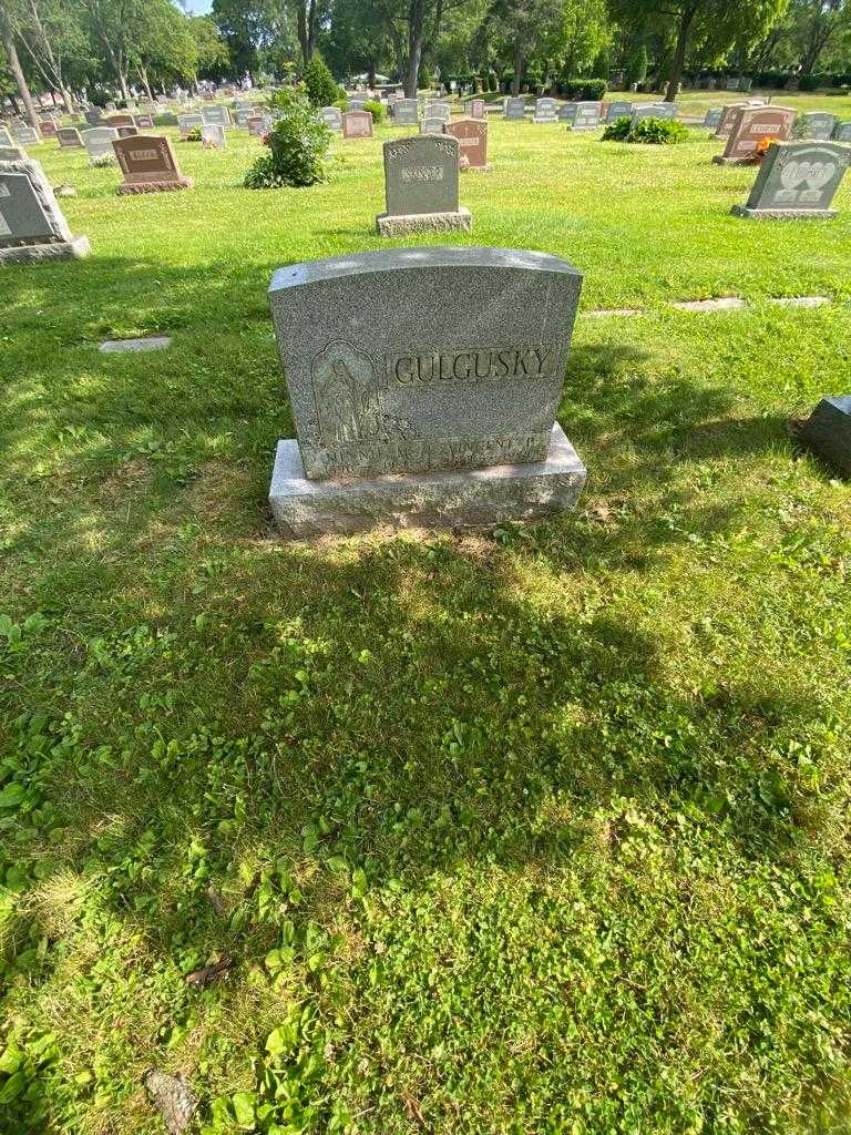 Vincent P. Gulgusky's grave. Photo 1