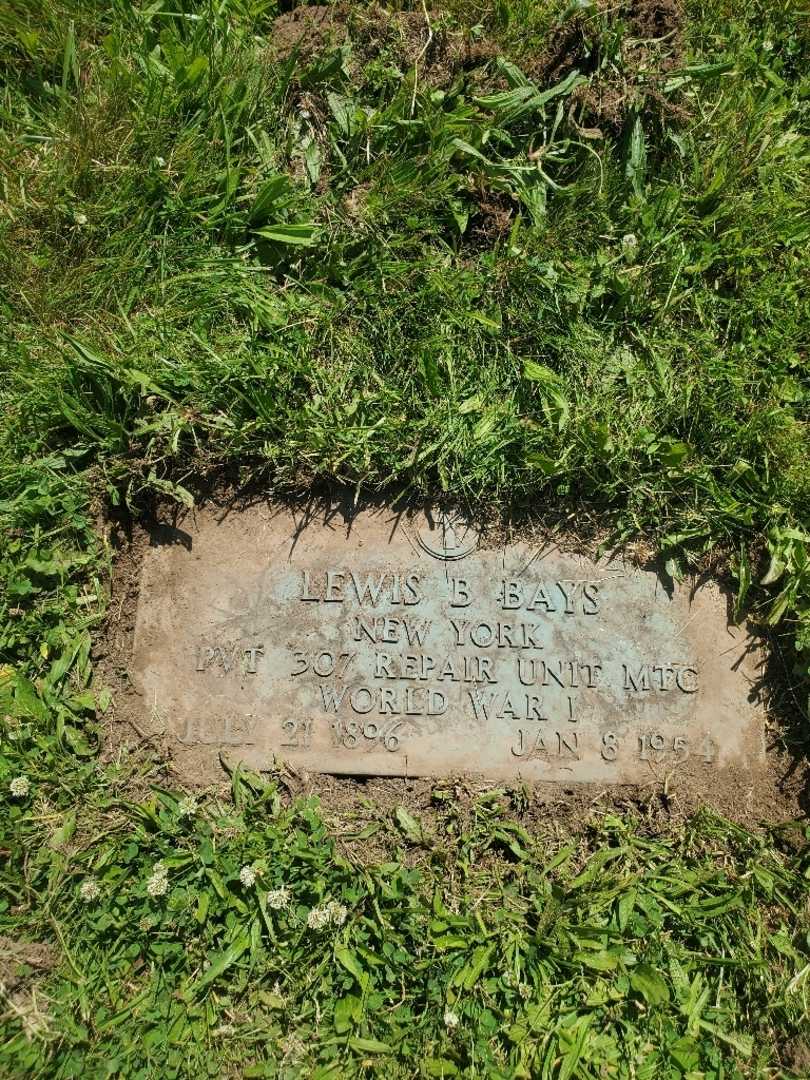 Lewis B. Bays's grave. Photo 4