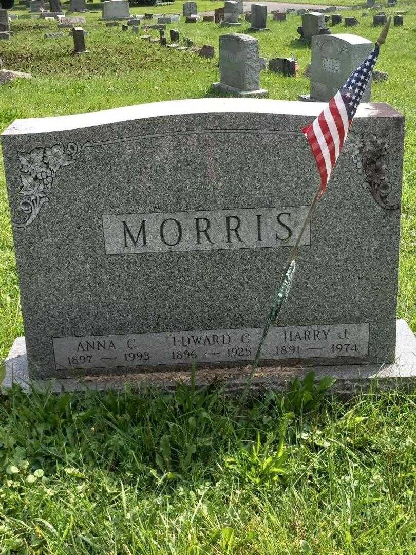 Harry J. Morris's grave. Photo 4