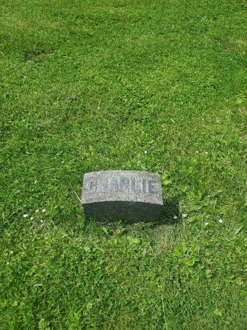 Charles P. Eaton's grave. Photo 5