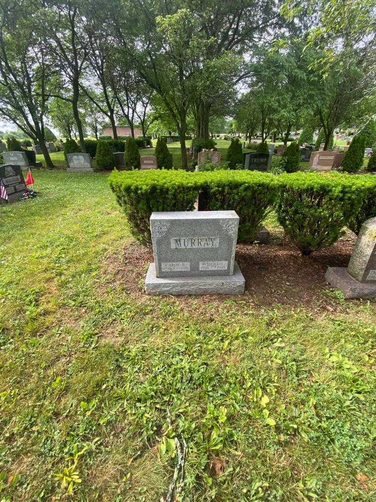 Robert E. Murray's grave. Photo 1