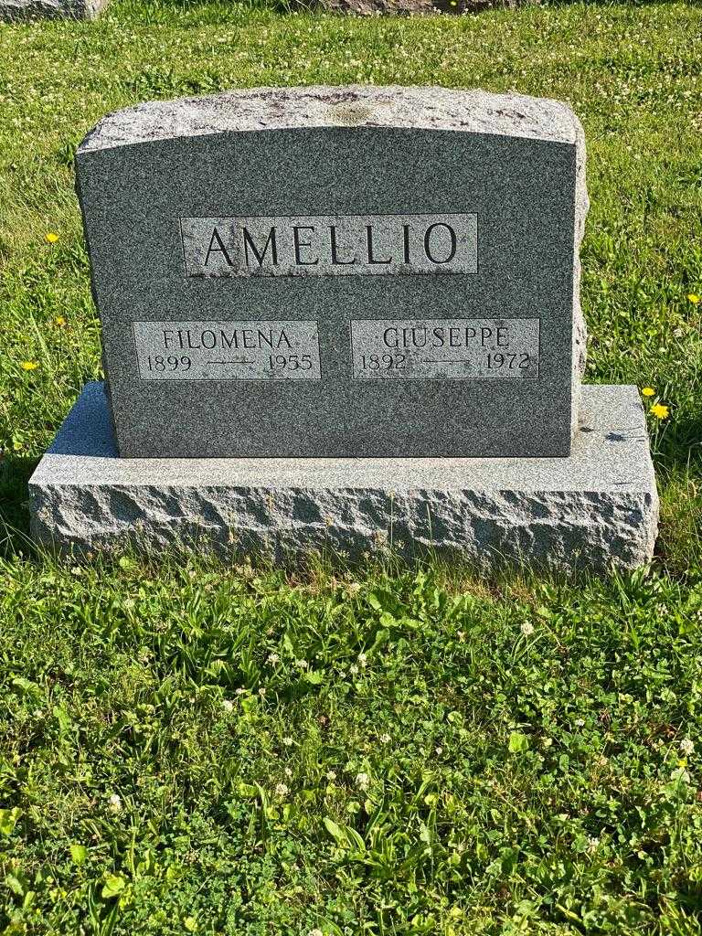 Filomena Amellio's grave. Photo 3