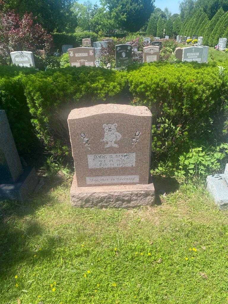 James M. Bench's grave. Photo 2
