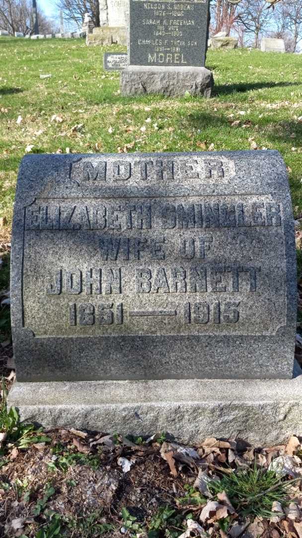 Elizabeth D. Smingler Barnett's grave. Photo 3