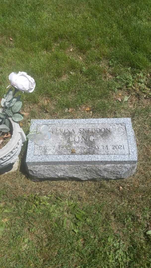 Elvina Long's grave. Photo 3