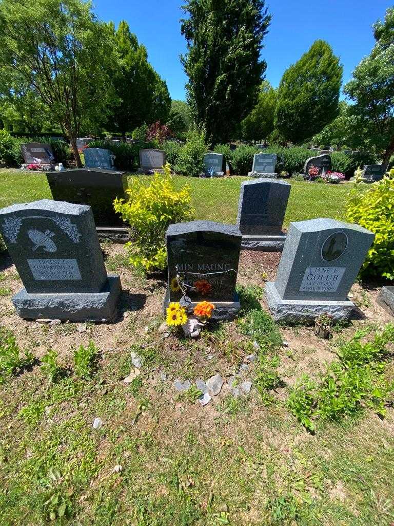 Min Maung's grave. Photo 1