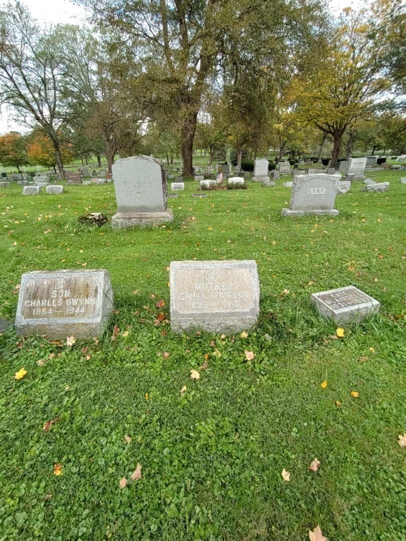 Emma J. Gwynn's grave. Photo 1