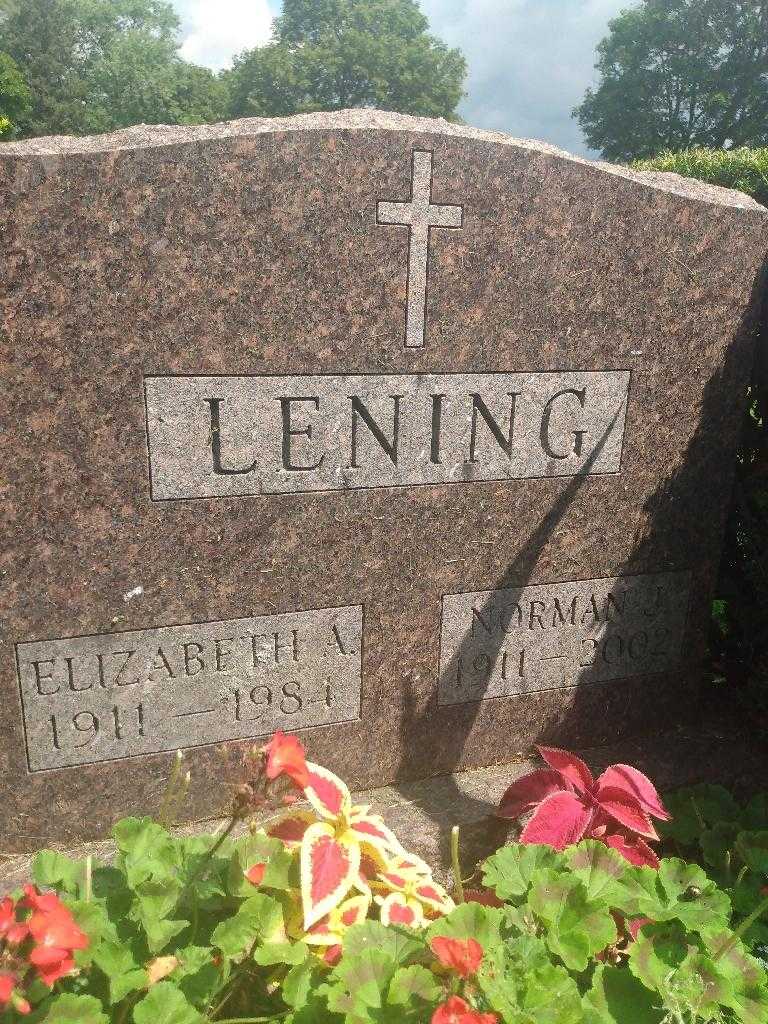 Elizabeth A. Lening's grave. Photo 3