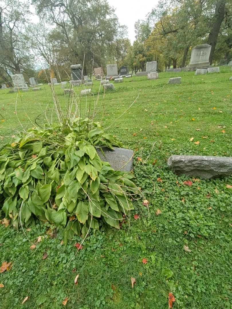 George S. Tebo's grave. Photo 3