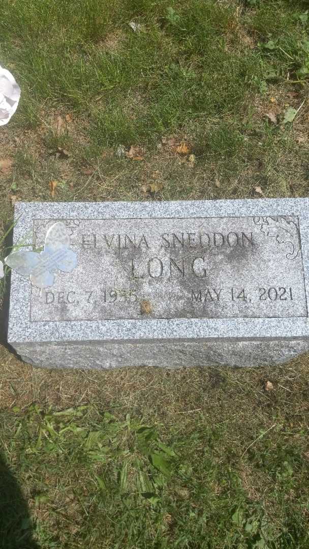 Elvina Long's grave. Photo 4