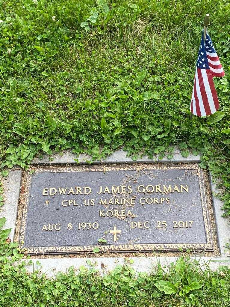 Edward J. Gorman's grave. Photo 4