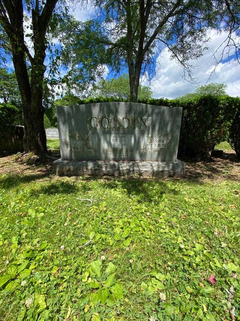 Essie Goldin's grave. Photo 1