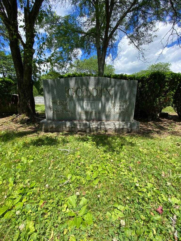 Milton Goldin's grave. Photo 1