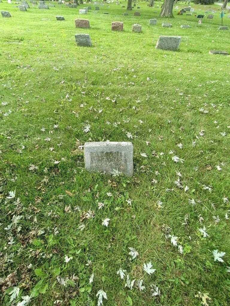 Peter Anevitch's grave. Photo 1