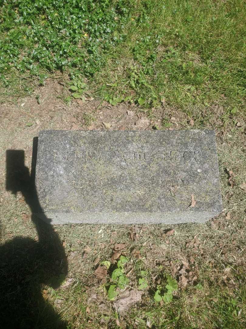 Henry J. Schoeneck's grave. Photo 3