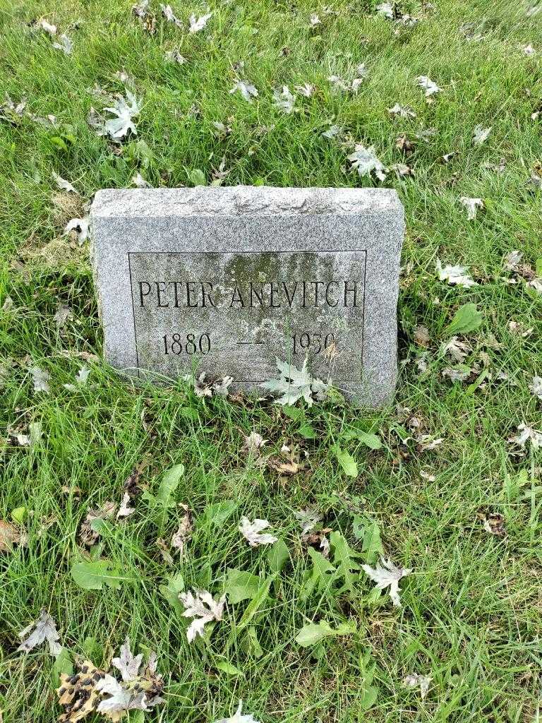 Peter Anevitch's grave. Photo 2
