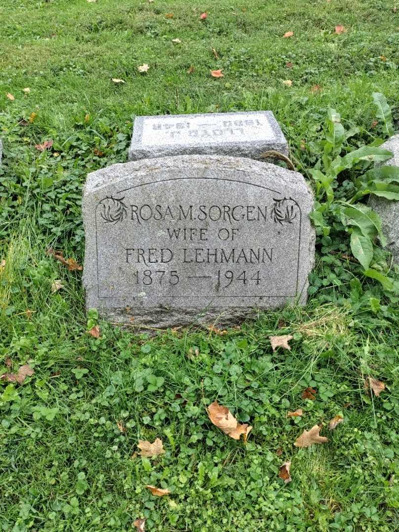 Rosa M. Sorgen Lehmann's grave. Photo 2