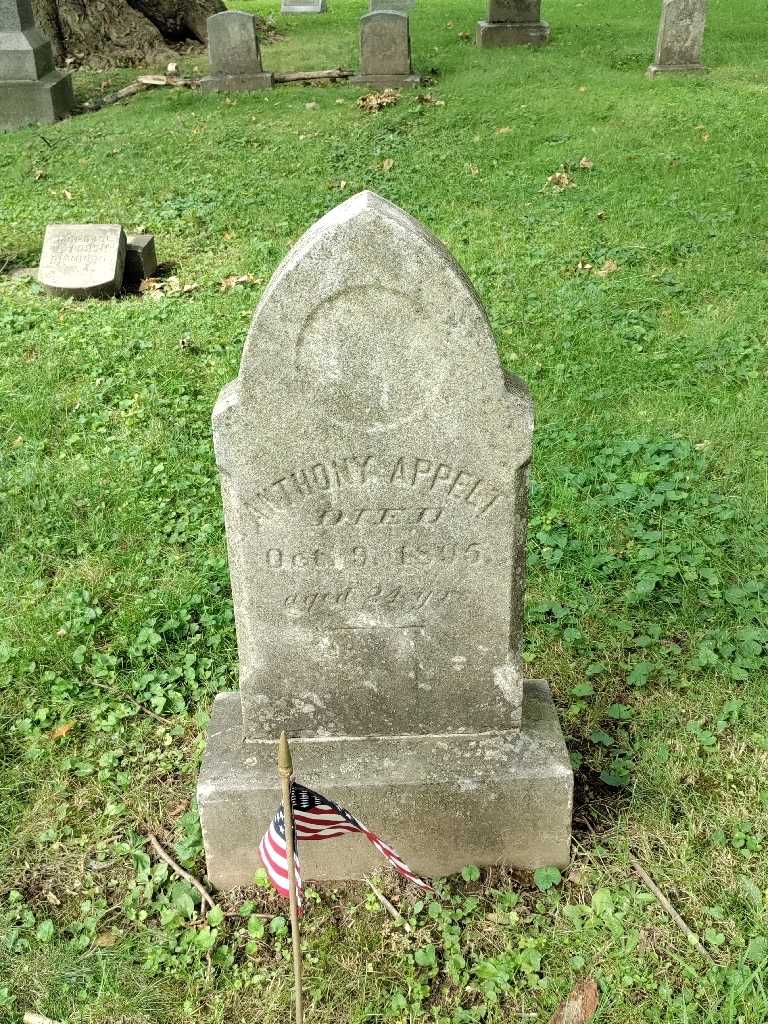 Anthony Abbott Appelt's grave. Photo 2
