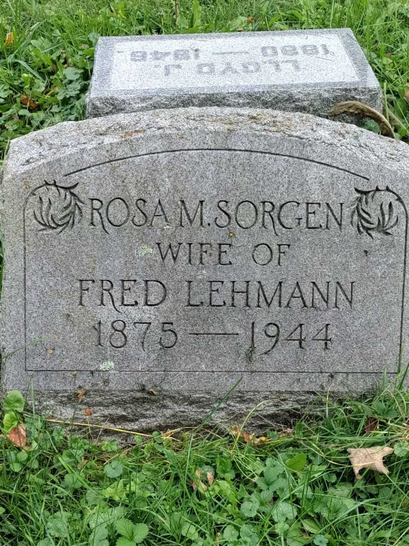 Rosa M. Sorgen Lehmann's grave. Photo 3