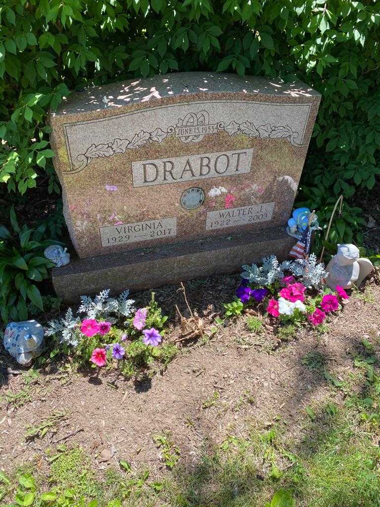 Walter J. Drabot's grave. Photo 2